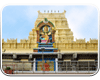 Bhadrakali Temple