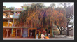 Komuravelli Mallanna Temple, Telangana Tourism, TS.